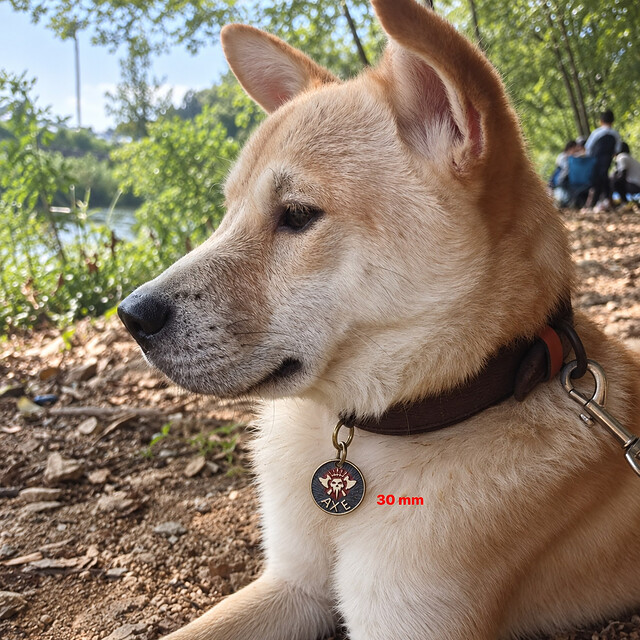 Personalized Pet ID Tag, Custom Dog Name Tag, Fantasy Skull Pet Collar Tag detail 5 thumbnail